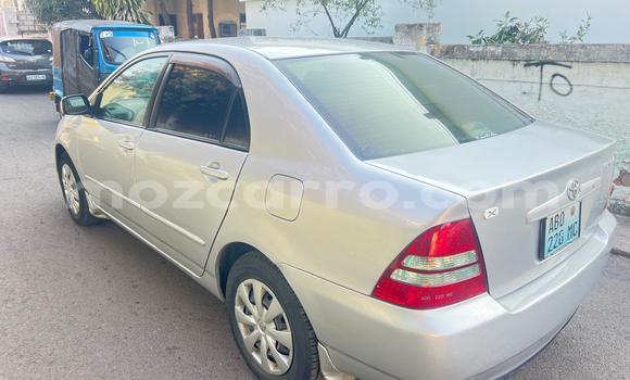 Buy Used Toyota Corolla Silver Car in Maputo in Maputo Buy Used Toyota Corolla Silver Car in Maputo in Maputo