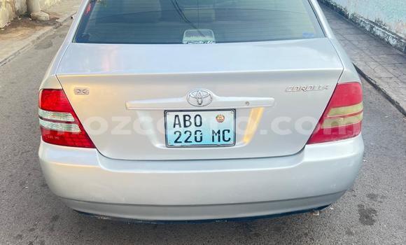 Buy Used Toyota Corolla Silver Car in Maputo in Maputo Buy Used Toyota Corolla Silver Car in Maputo in Maputo