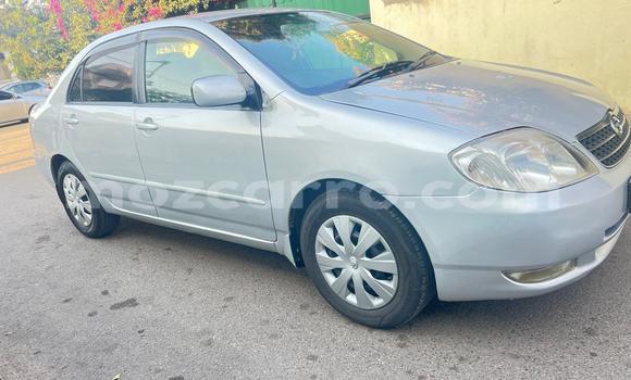 Buy Used Toyota Corolla Silver Car in Maputo in Maputo Buy Used Toyota Corolla Silver Car in Maputo in Maputo