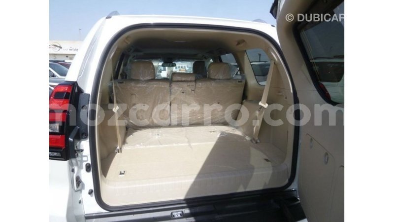 Big with watermark c90c37ef eda1 42fe ae46 ee30d4b605a9