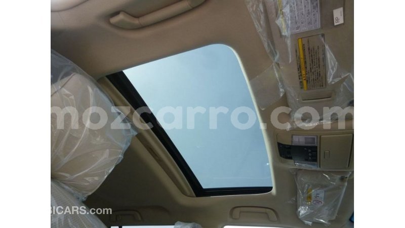 Big with watermark b02dc824 44e7 4d55 8038 5714320ca21f