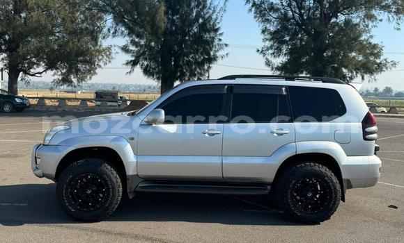 Nunua Ilio tumika Toyota Hilux Fedha Gari ndani ya Maputo nchini Maputo Nunua Ilio tumika Toyota Hilux Fedha Gari ndani ya Maputo nchini Maputo