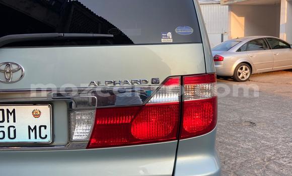 Buy Used Toyota Alphard Blue Car in Maputo in Maputo Buy Used Toyota Alphard Blue Car in Maputo in Maputo