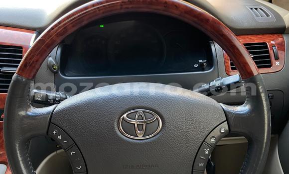 Buy Used Toyota Alphard Blue Car in Maputo in Maputo Buy Used Toyota Alphard Blue Car in Maputo in Maputo