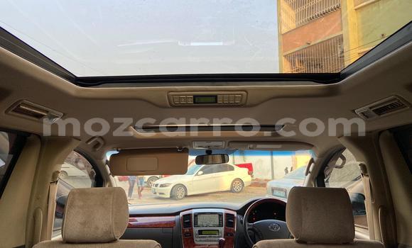 Buy Used Toyota Alphard Blue Car in Maputo in Maputo Buy Used Toyota Alphard Blue Car in Maputo in Maputo