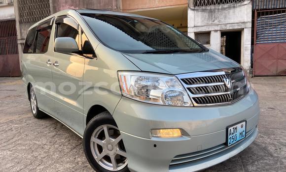 Buy Used Toyota Alphard Blue Car in Maputo in Maputo Buy Used Toyota Alphard Blue Car in Maputo in Maputo