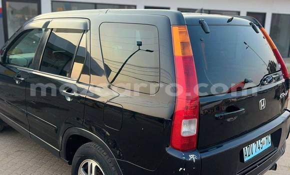 Tenga Tsaru Honda CR-V Nhema Mota in Maputo in Maputo Tenga Tsaru Honda CR-V Nhema Mota in Maputo in Maputo