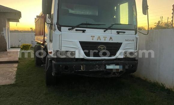 Tenga Tsaru TATA Aria Chena Mota in Maputo in Maputo Tenga Tsaru TATA Aria Chena Mota in Maputo in Maputo