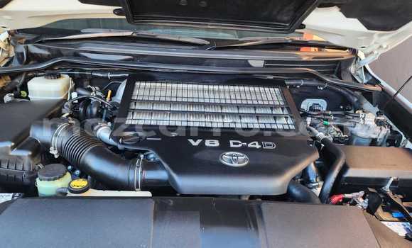 Tenga Tsaru Toyota Land Cruiser Chena Mota in Maputo in Maputo Tenga Tsaru Toyota Land Cruiser Chena Mota in Maputo in Maputo