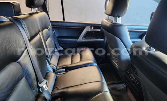 Tenga Tsaru Toyota Land Cruiser Chena Mota in Maputo in Maputo Tenga Tsaru Toyota Land Cruiser Chena Mota in Maputo in Maputo