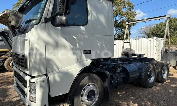 Nunua Ilio tumika Volvo F4 Nyeupe Lori ndani ya Maputo nchini Maputo Nunua Ilio tumika Volvo F4 Nyeupe Lori ndani ya Maputo nchini Maputo