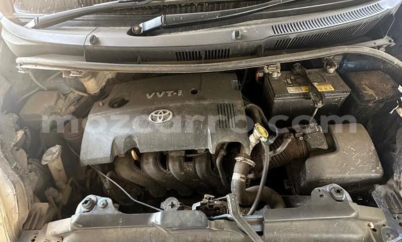 Buy Used Toyota Ractis Blue Car in Maputo in Maputo Buy Used Toyota Ractis Blue Car in Maputo in Maputo