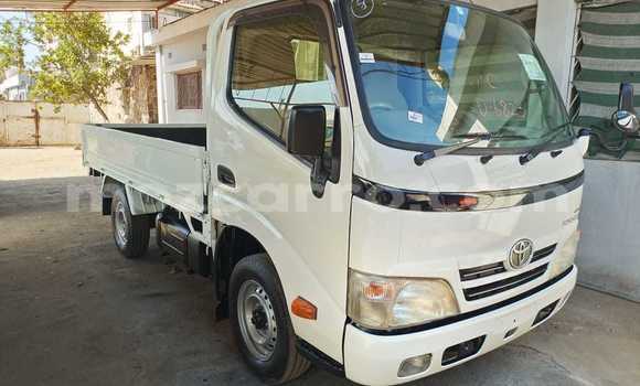 Buy New Toyota Dyna White Truck in Maputo in Maputo Buy New Toyota Dyna White Truck in Maputo in Maputo