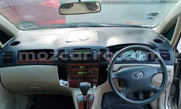 Tenga Tsaru Toyota Spacio Zvimwe Mota in Maputo in Maputo Tenga Tsaru Toyota Spacio Zvimwe Mota in Maputo in Maputo