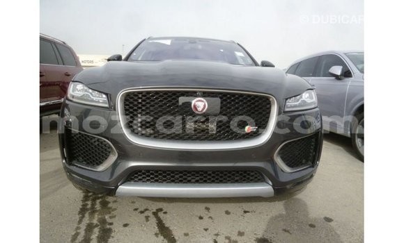 Comprar Importar Jaguar F-Type Preto Carro em Import - Dubai em Cabo Delgado Comprar Importar Jaguar F-Type Preto Carro em Import - Dubai em Cabo Delgado