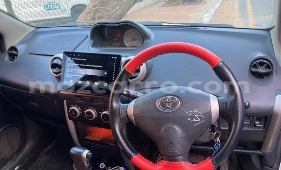 Tenga Tsaru Toyota IST Chena Mota in Maputo in Maputo Tenga Tsaru Toyota IST Chena Mota in Maputo in Maputo