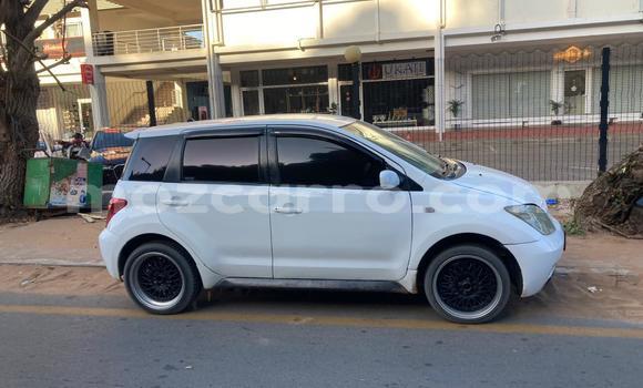 Tenga Tsaru Toyota IST Chena Mota in Maputo in Maputo Tenga Tsaru Toyota IST Chena Mota in Maputo in Maputo