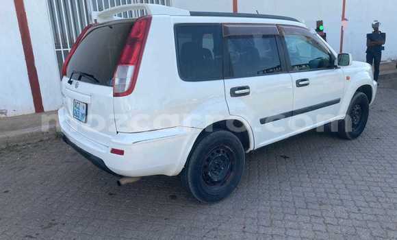 Buy Used Nissan X-Trail White Car in Maputo in Maputo Buy Used Nissan X-Trail White Car in Maputo in Maputo
