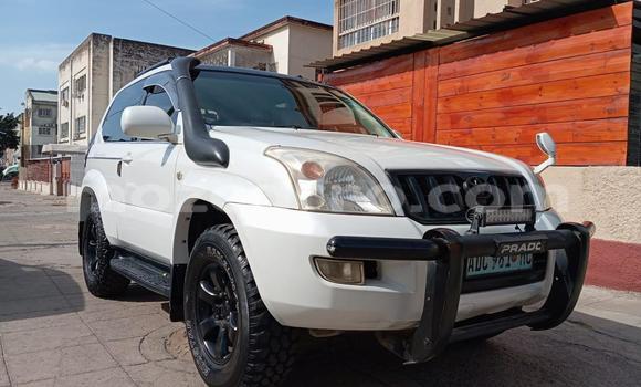 Comprar Usado Toyota Hilux Branco Carro em Maputo em Maputo