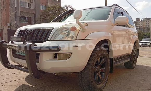 Comprar Usado Toyota Hilux Branco Carro em Maputo em Maputo Comprar Usado Toyota Hilux Branco Carro em Maputo em Maputo
