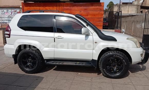 Comprar Usado Toyota Hilux Branco Carro em Maputo em Maputo Comprar Usado Toyota Hilux Branco Carro em Maputo em Maputo