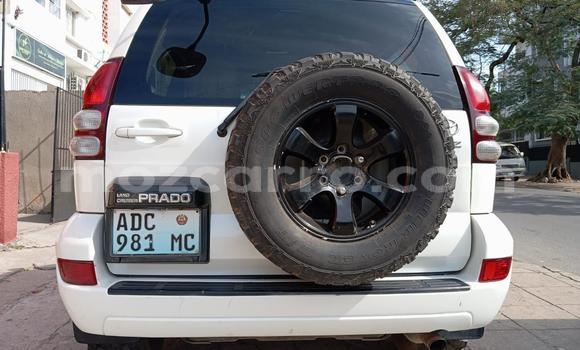 Comprar Usado Toyota Hilux Branco Carro em Maputo em Maputo Comprar Usado Toyota Hilux Branco Carro em Maputo em Maputo