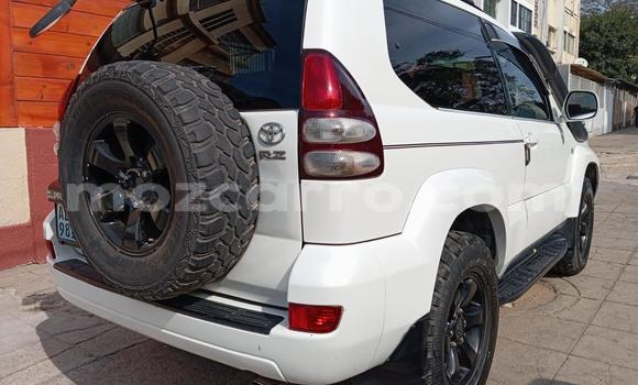Comprar Usado Toyota Hilux Branco Carro em Maputo em Maputo Comprar Usado Toyota Hilux Branco Carro em Maputo em Maputo