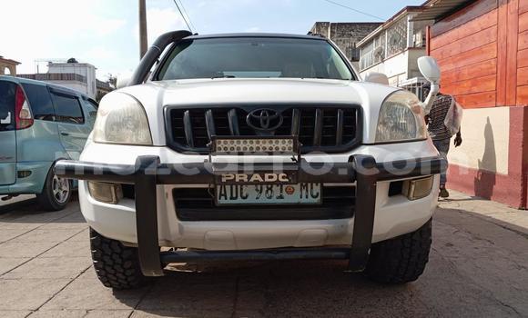 Comprar Usado Toyota Hilux Branco Carro em Maputo em Maputo Comprar Usado Toyota Hilux Branco Carro em Maputo em Maputo