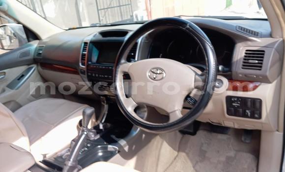 Comprar Usado Toyota Hilux Branco Carro em Maputo em Maputo Comprar Usado Toyota Hilux Branco Carro em Maputo em Maputo