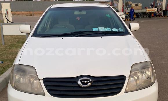 Tenga Tsaru Toyota Corolla Chena Mota in Maputo in Maputo