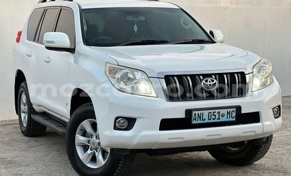 Buy New Toyota Land Cruiser Prado White Car in Maputo in Maputo