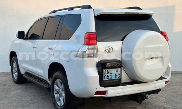 Comprar Novo Toyota Land Cruiser Prado Branco Carro em Maputo em Maputo Comprar Novo Toyota Land Cruiser Prado Branco Carro em Maputo em Maputo