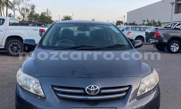 Nunua Ilio tumika Toyota Corolla Nyingine Gari ndani ya Maputo nchini Maputo