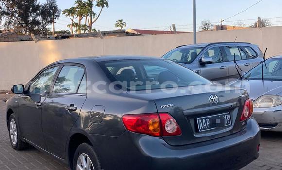 Tenga Tsaru Toyota Corolla Zvimwe Mota in Maputo in Maputo Tenga Tsaru Toyota Corolla Zvimwe Mota in Maputo in Maputo