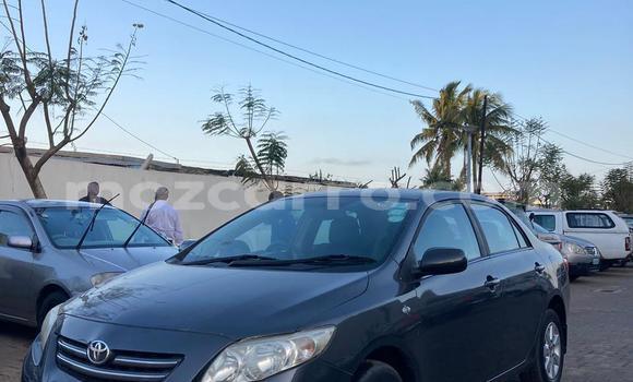 Tenga Tsaru Toyota Corolla Zvimwe Mota in Maputo in Maputo Tenga Tsaru Toyota Corolla Zvimwe Mota in Maputo in Maputo