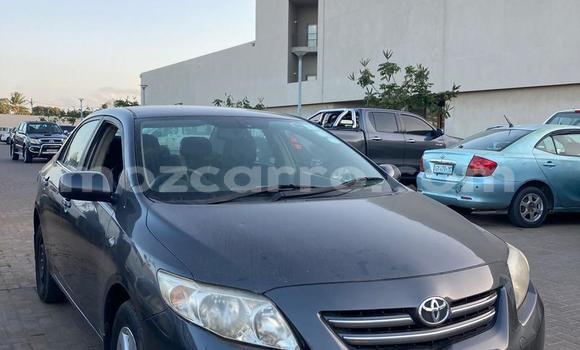 Comprar Usado Toyota Corolla De outros Carro em Maputo em Maputo