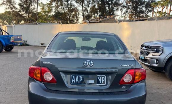 Comprar Usado Toyota Corolla De outros Carro em Maputo em Maputo Comprar Usado Toyota Corolla De outros Carro em Maputo em Maputo