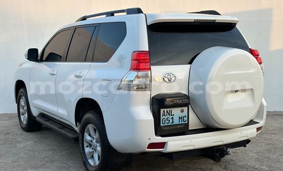 Buy Used Toyota Land Cruiser Prado White Car in Maputo in Maputo Buy Used Toyota Land Cruiser Prado White Car in Maputo in Maputo