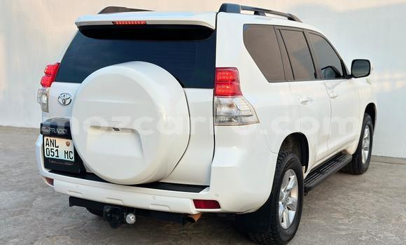 Buy Used Toyota Land Cruiser Prado White Car in Maputo in Maputo Buy Used Toyota Land Cruiser Prado White Car in Maputo in Maputo