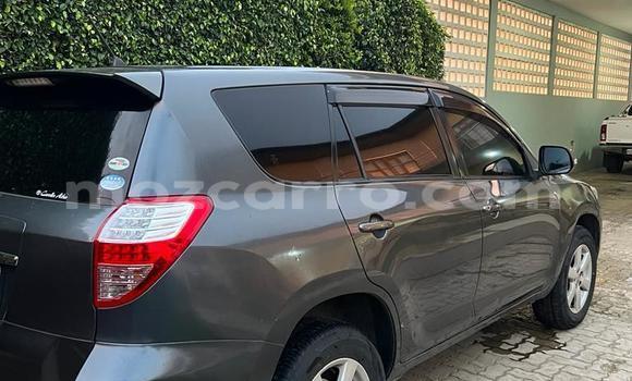 Tenga Tsaru Toyota Vanguard Sirivha Mota in Maputo in Maputo Tenga Tsaru Toyota Vanguard Sirivha Mota in Maputo in Maputo