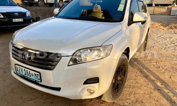 Buy Used Toyota Vanguard White Car in Maputo in Maputo Buy Used Toyota Vanguard White Car in Maputo in Maputo