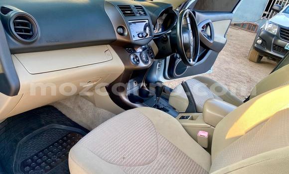 Buy Used Toyota Vanguard White Car in Maputo in Maputo Buy Used Toyota Vanguard White Car in Maputo in Maputo