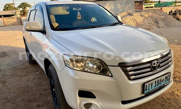 Buy Used Toyota Vanguard White Car in Maputo in Maputo Buy Used Toyota Vanguard White Car in Maputo in Maputo