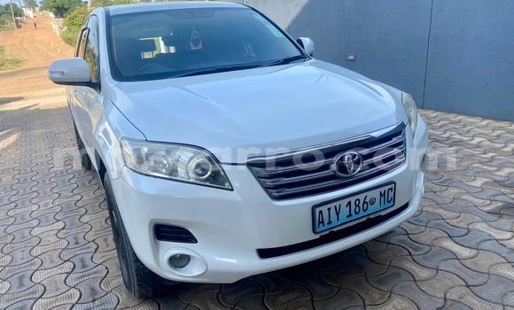 Buy Used Toyota Vanguard White Car in Maputo in Maputo Buy Used Toyota Vanguard White Car in Maputo in Maputo