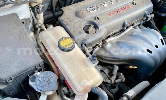 Buy Used Toyota Vanguard White Car in Maputo in Maputo Buy Used Toyota Vanguard White Car in Maputo in Maputo