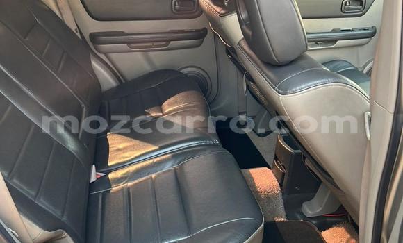 Comprar Usado Nissan X-Trail Castanho Carro em Maputo em Maputo Comprar Usado Nissan X-Trail Castanho Carro em Maputo em Maputo