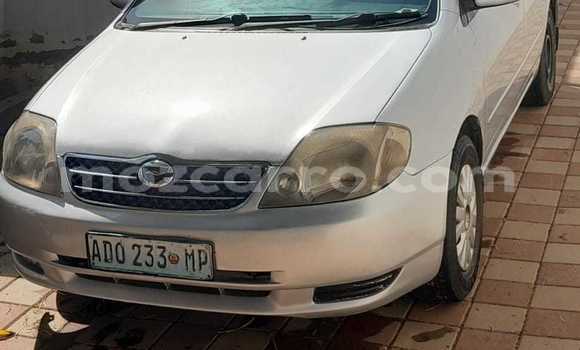 Buy Used Toyota Corolla Silver Car in Maputo in Maputo
