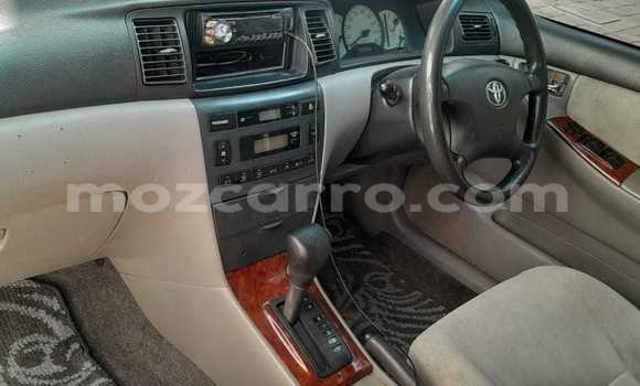 Comprar Usado Toyota Corolla Prata Carro em Maputo em Maputo Comprar Usado Toyota Corolla Prata Carro em Maputo em Maputo