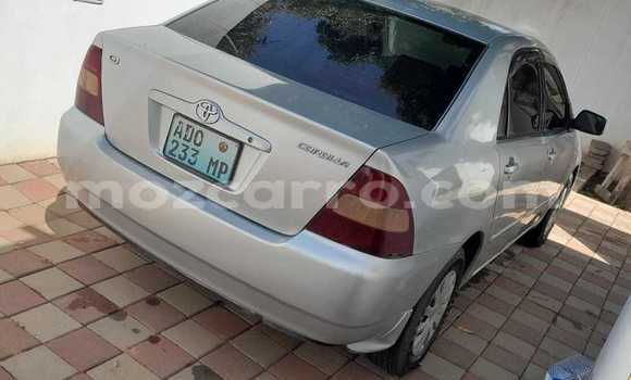 Comprar Usado Toyota Corolla Prata Carro em Maputo em Maputo Comprar Usado Toyota Corolla Prata Carro em Maputo em Maputo