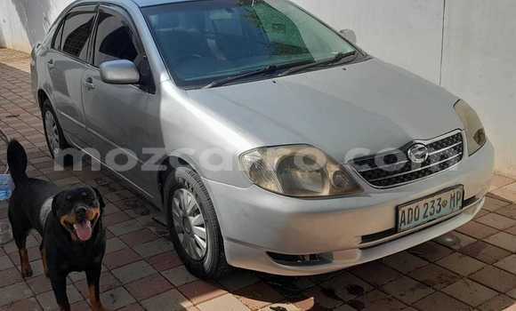Comprar Usado Toyota Corolla Prata Carro em Maputo em Maputo Comprar Usado Toyota Corolla Prata Carro em Maputo em Maputo